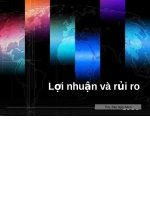 Bài giảng lợi nhuận và rủi ro