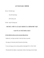 Thảo luận nhóm an toàn hóa trình mô tả các QUY ĐỊNH của CHÍNH PHỦ VIỆT NAM về AN TOÀN hóa CHẤT
