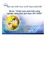 Đề tài Hoạch định chiến lược phát triển nông nghiệp, nông thôn giai đoạn 20112020