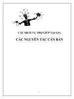 CÁC DỊCH VỤ TRỢ GIÚP TẠI GIA CÁC NGUYÊN TẮC CĂN BẢN