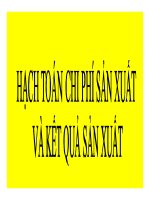 Bài giảng Kế toán tài chính  Hoạch toán chi phí sản xuất và xác định kết quả kinh doanh