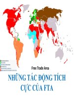 Những tác động tích cực của FTA