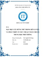 KHÓA LUẬN: DẠY HỌC GÂY HỨNG THÚ TRONG RÈN LUYỆN VÀ PHÁT TRIỂN TƯ DUY THUẬT TOÁN CHO HS TRUNG HỌC PHỔ THÔNG
