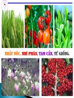 Bài Giảng Phân bón hóa học