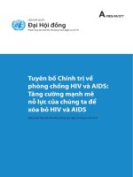 Tuyên bố Chính trị vềphòng chống HIV và AIDS: Tăng cường mạnh mẽ nỗ lực của chúng ta để xóa bỏ HIV và AIDS