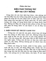rệp hại cây trồng và biện pháp phòng trừ phần 2