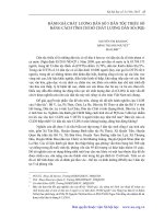 ĐÁNH GIÁ CHẤT LƯỢNG DÂN SỐ 5 DÂN TỘC THIỂU SỐ BẰNG CÁCH  TÍNH CHỈ SỐ CHẤT LƯỢNG DÂN SỐ PIQ