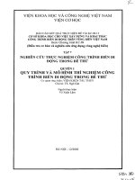 Cơ sở khoa học cho việc thiết kế xây dựng và khai thác sử dụng công trình biển di động trên vùng biển việt nam – quy trình và mô hình thí nghiệm công trình biển di động trong bê thử 