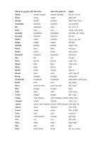 Bảng động từ bất quy tắc