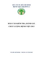BÁO CÁO KIỂM TRA, ĐÁNH GIÁ CHẤT LƯỢNG BỆNH VIỆN 2013