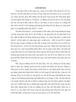 Tiểu luận chuyên viên chính Giải quyết vướng mắc trong công tác bồi thường giải phóng mặt bằng công trình: Xây dựng Kè bờ hữu và chỉnh trị dòng Sông Cầu  trên địa bàn thị xã Bắc Kạn, tỉnh Bắc Kạn