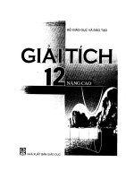 GIẢI TÍCH 12 NÂNG CAO   SGV 