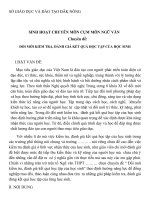 Đổi mới kiểm tra, đánh giá kết quả học tập của học sinh môn Ngữ Văn theo định hướng năng lực