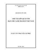 Luận văn thac sĩ luật học chế tài liên quan tới hạn chế cạnh tranh ở việt nam