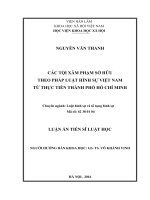 Các tội xâm phạm sở hữu theo pháp luật hình sự việt nam từ thực tiễn thành phố hồ chí minh