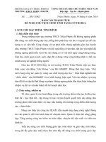 BAO CAO THANH TICH TANG CO THI DUA