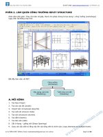 giao trinh hoc revit STRUCTURE