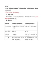 Ôn tập lịch sử văn minh thế giới chi tiết nhất