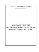 Quy hoạch huyện tam đảo đến 2020