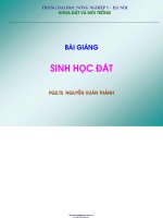 Bài giảng sinh học đất