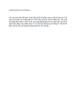 CÓ NÊN   MUA BẾP TỪ GIÁ RẺ  KHÔNG?