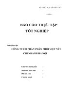Tình hình hoạt động của công ty cổ phần phân phối Việt Nét chi nhánh Hà Nội qua các năm 20132014
