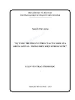 Sự tăng trưởng in vitro của cây mầm lúa oryza sativa l  trong điều kiện stress nước 