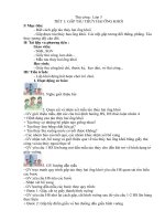 GIAO AN THU CONG LOP 3 VNEN