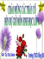 Giáo án sinh học 9 bài menden và di truyền học (2) 