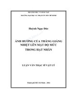 Ảnh hưởng của thăng giáng nhiệt lên mật độ mức trong hạt nhân 