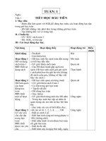 GIAO AN TOAN LOP 1 CA NAM