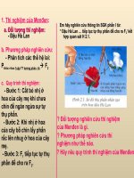 Bài giảng sinh học 9 lai một cặp tính trạng (1) 