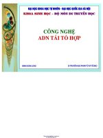 Bài giảng công nghệ ADN tái tổ hợp