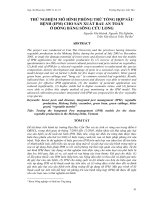 THỬ NGHIỆM MÔ HÌNH PHÒNG TRỪ TỔNG HỢP SÂU BỆNH (IPM) CHO SẢN XUẤT RAU AN TOÀN Ở ĐỒNG BẰNG SÔNG CỬU LONG