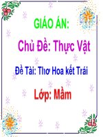 giáo án điện tử bài thơ hoa ket trái