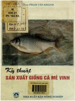 Kỹ thuật sản xuất giống cá mè vinh  phạm văn khánh pdf 