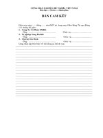 Mẫu các bản cam kết thường dùng