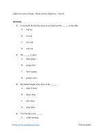 Adjectives used as Nouns - Nouns used as Adjectives - Test 03
