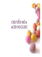 BÀI GIẢNG CHUYỂN hóa ACID NUCLEIC 