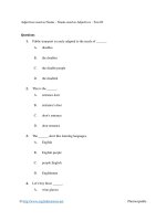 Adjectives used as Nouns - Nouns used as Adjectives - Test 02