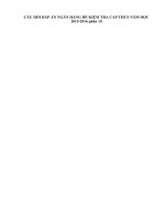 CÂU hỏi đáp án NGÂN HÀNG đề KIỂM TRA cấp THCS năm học 2015 2016 phần 10 