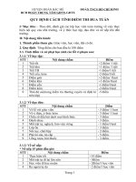 nội quy chấm cờ đỏ