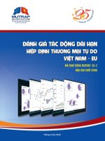 ĐÁNH GIÁ TÁC ĐỘNG DÀI HẠN HIỆP ĐỊNH THƯƠNG MẠI TỰ DO VIỆT NAM - EU