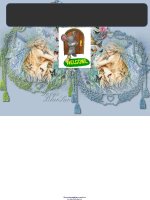 BÀI GIẢNG DÒNG điện TRONG CHẤT bán dẫn 