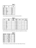 Bài tập Excel 2010 Rút trích
