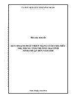 quy hoạch phát triển mạng lưới chợ siêu thị trung tâm thương mại tỉnh ninh thuận đến năm 2020