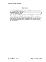 chiến lược Marketing nhằm phát triển thị trường cho gỗ Công Nghiệp của Chi Nhánh Pluto tại thị trường Hà Nội