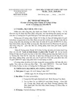 KẾ HOẠCH TO CHUC TUONG NIEM KIEU DAM DI 2017 da sua (2)