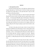 LUẬN văn tốt NGHIỆP   ĐẢNG LÃNH đạo CÔNG tác tôn GIÁO GIAI đoạn đẩy MẠNH CỘNG NGHIỆP hóa, HIỆN đại hóa đất nước