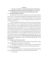 Giải pháp marketing nhằm thâm nhập thị trường mặt hàng thép tấm nhập khẩu của công ty TNHH Thương Mại Hòa Phát trên thị trường Hà Nội